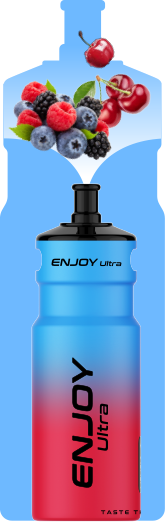 ENJOY 2+10 REFILLABLE KIT Vape